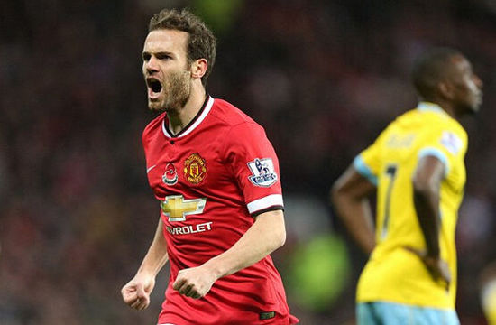 平稳扎根中 平稳扎根中